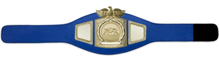 PROEAGLE GRAPPLING CHAMPIONSHIP BELT - PROEAGLE/G/GRAPG - AVAILABLE IN 6+ COLOURS PROEAGLE GRAPPLING CHAMPIONSHIP BELT - PROEAGLE/G/GRAPG - AVAILABLE IN 6+ COLOURS